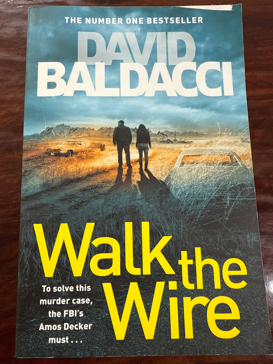 Walk the Wire (Amos Decker #6)