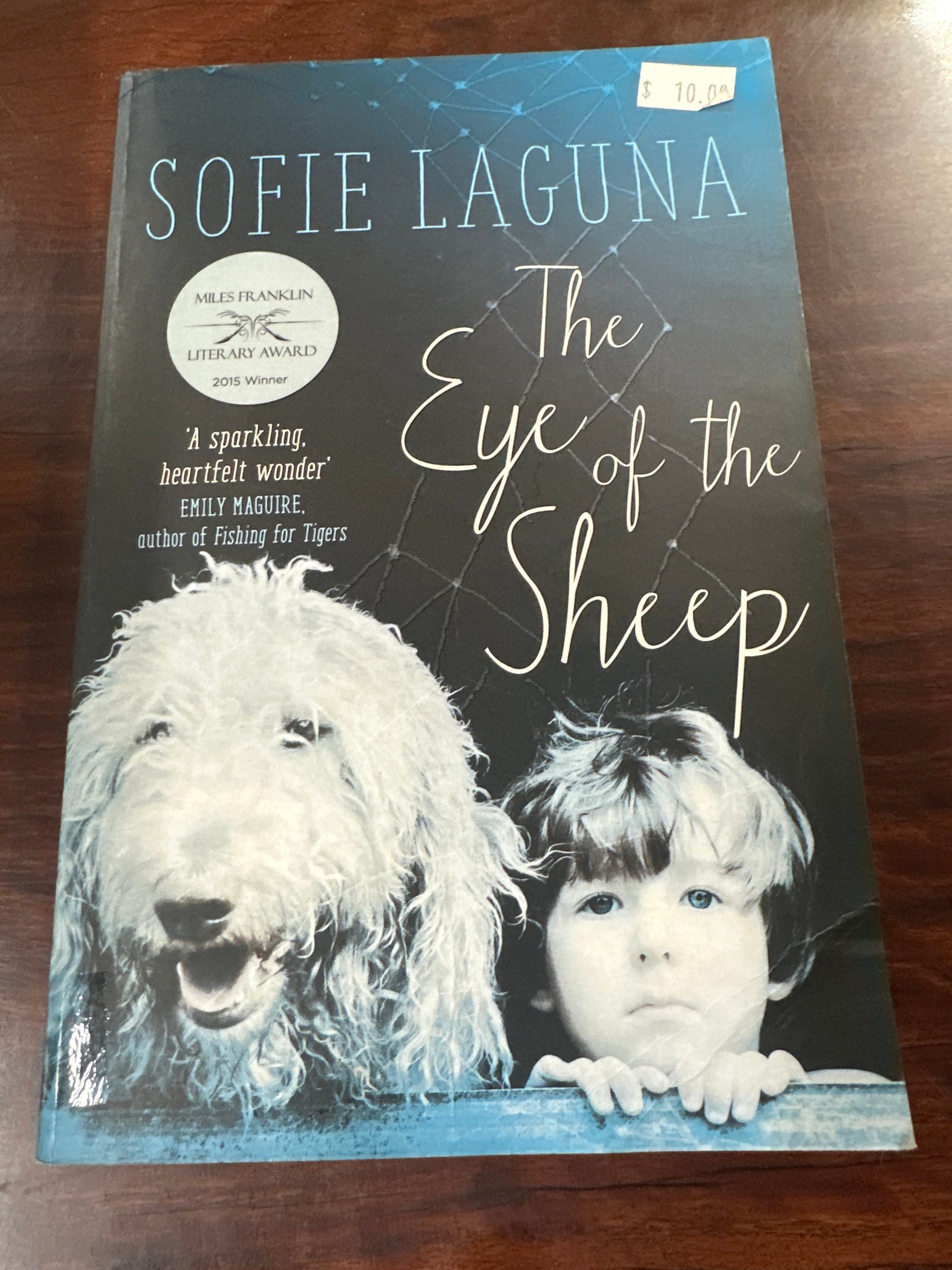 The Eye Of The Sheep