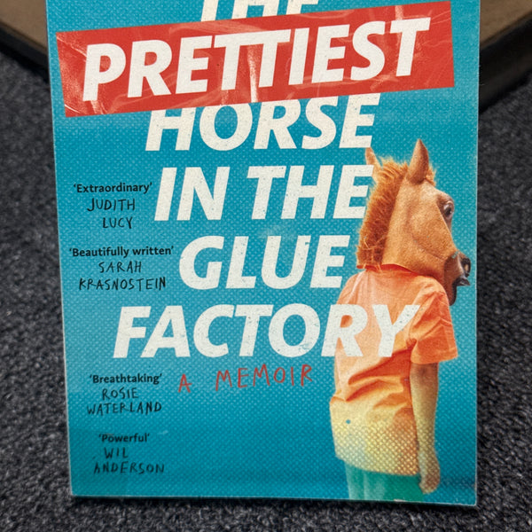 The Prettiest Horse In The Glue Factory