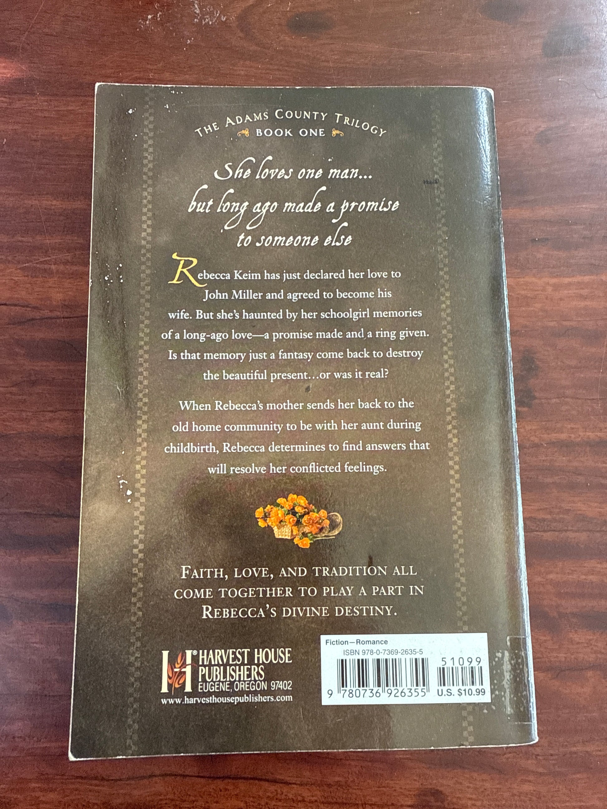 Rebecca's Promise