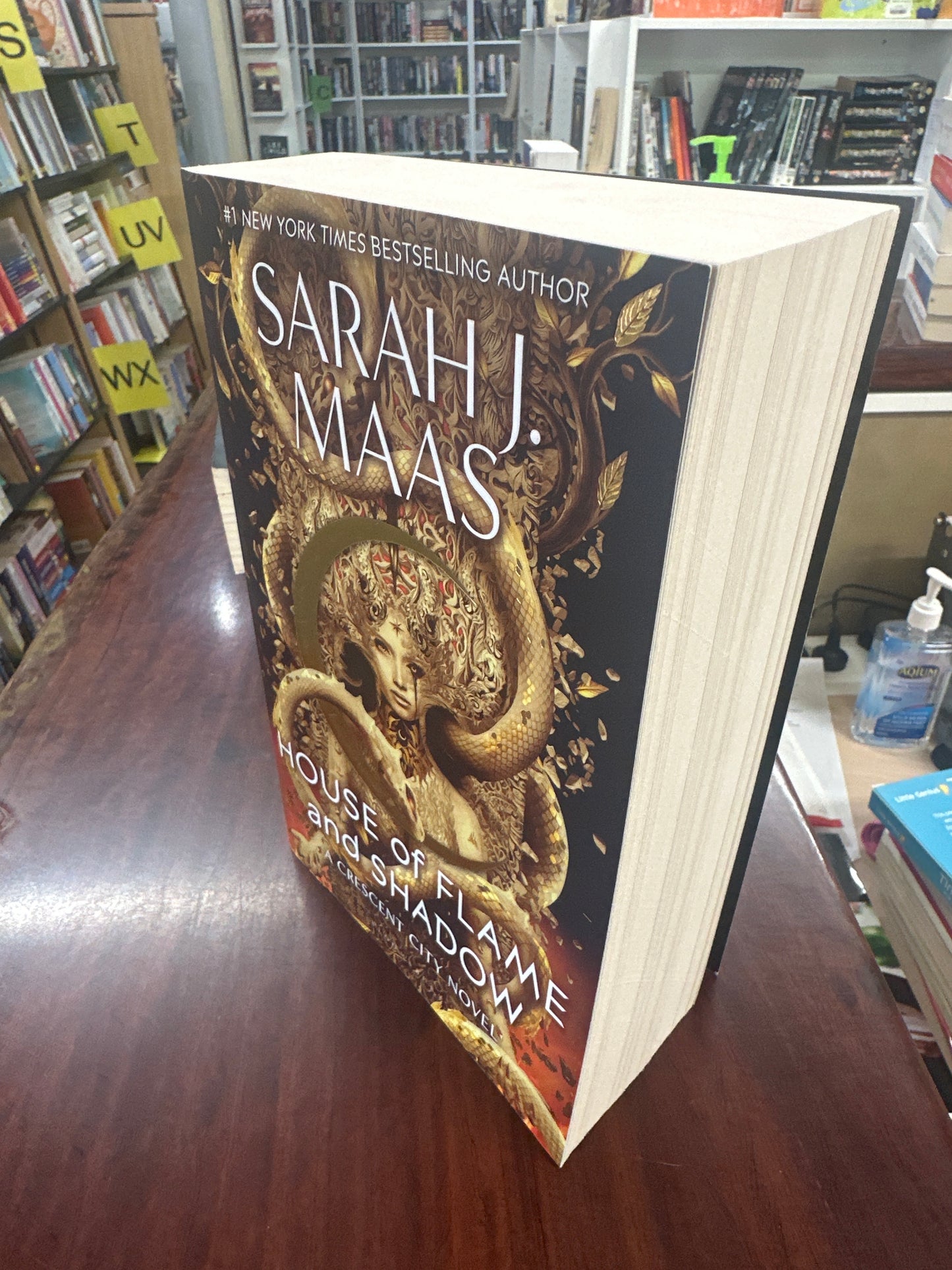 House of Flame and Shadow (Crescent City #3)