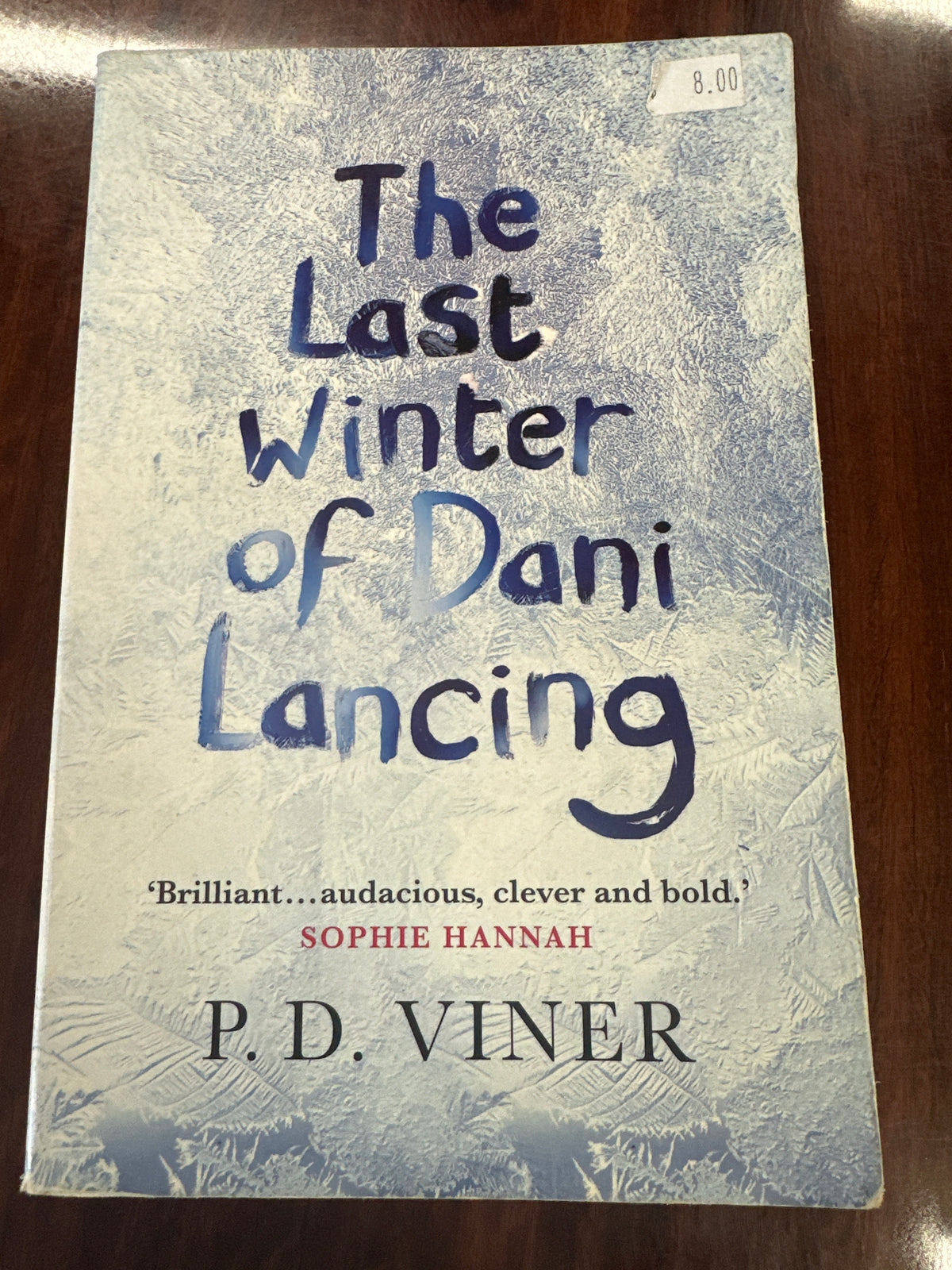 The Last Winter Of Dani Lancing