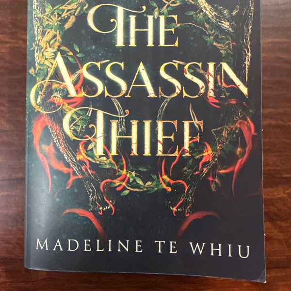 The Assassin Thief