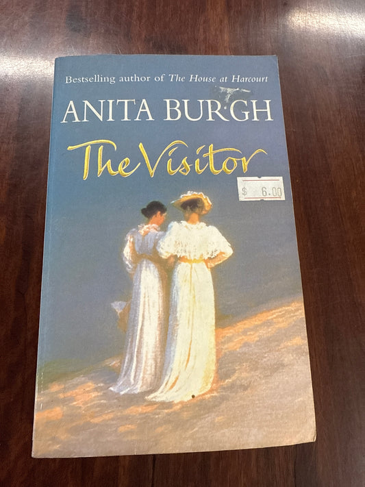 The Visitor