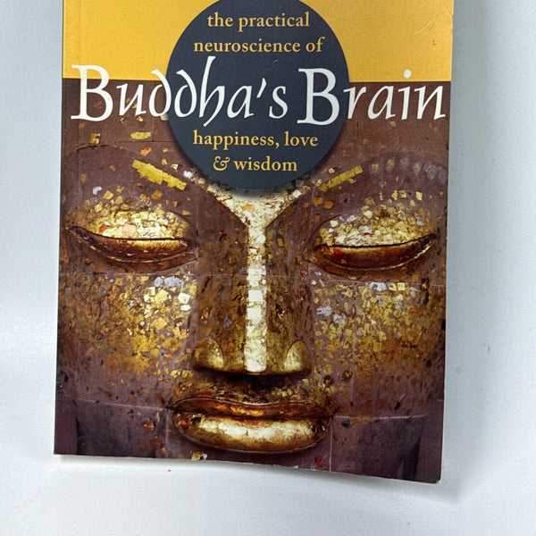 Buddha's Brain: The Practical Neuroscience of Happiness, Love, and Wisdom