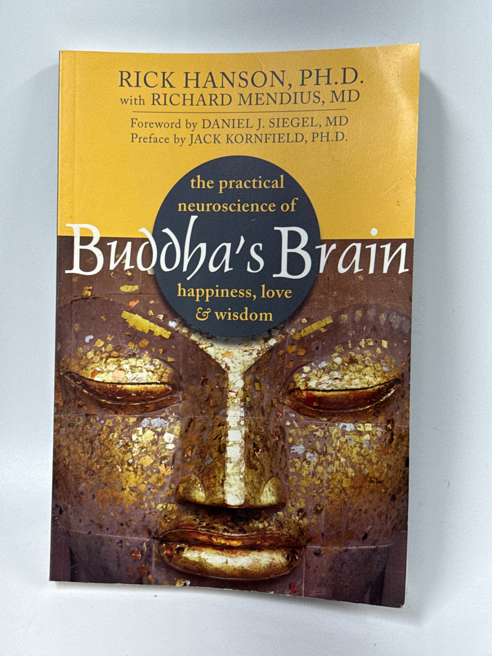 Buddha's Brain: The Practical Neuroscience of Happiness, Love, and Wisdom