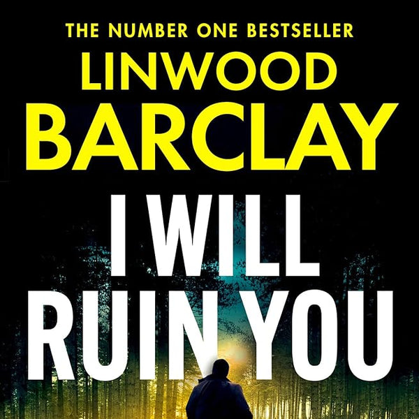 I Will Ruin You cover image