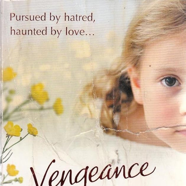 Susan Lewis Vengeance cover image