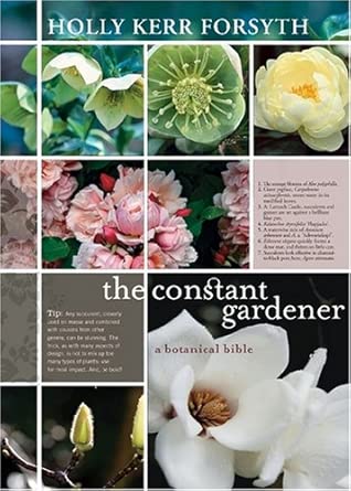 The Constant Gardener cover image