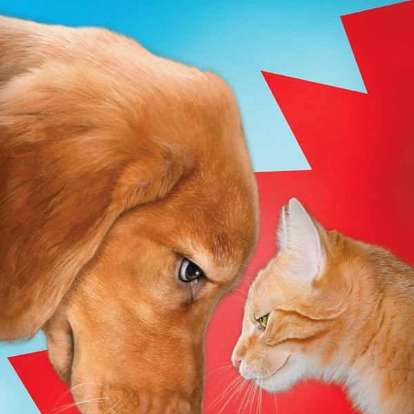 The Pet War cover image