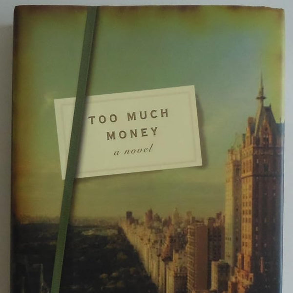 Too Much Money: A Novel cover image