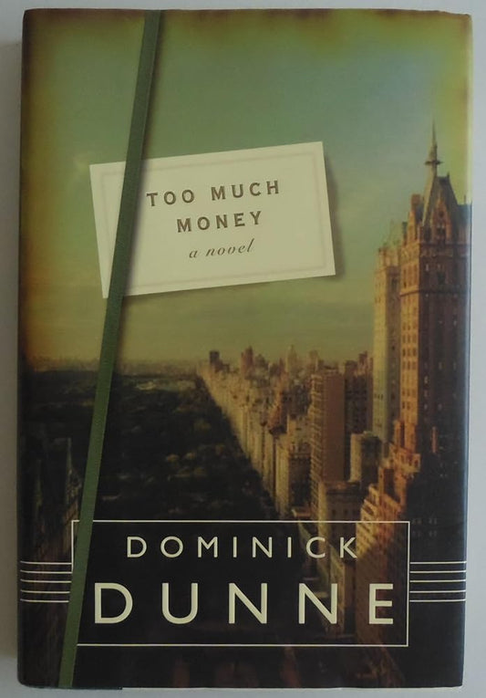 Too Much Money: A Novel cover image