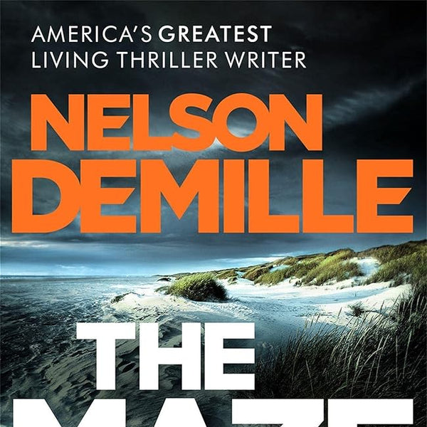 THE MAZE cover image