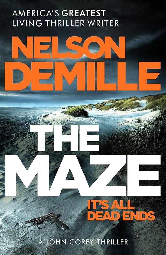 THE MAZE cover image