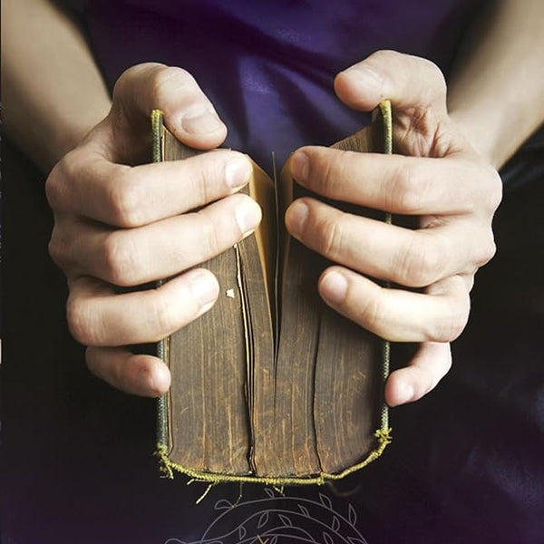 The Sacred Lies of Minnow Bly cover image