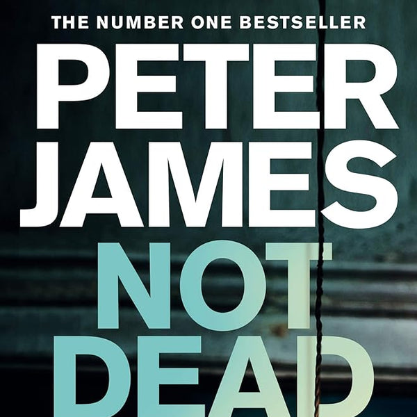 Not Dead Enough (Detective Superintendent Roy Grace, 3) cover image