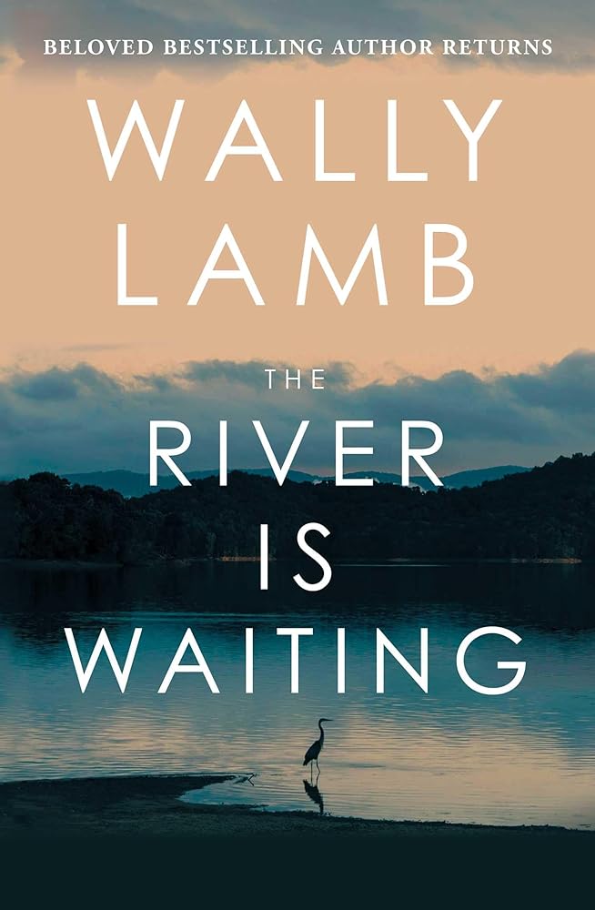 The River Is Waiting: A Novel cover image