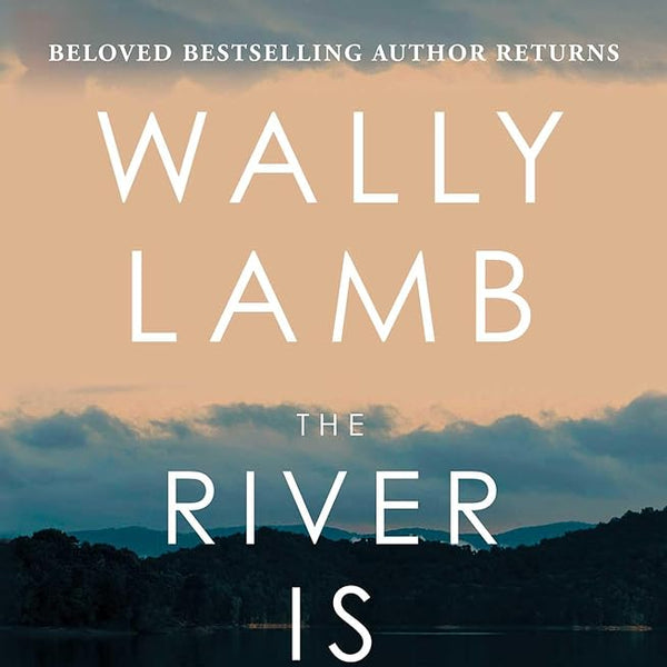 The River Is Waiting: A Novel cover image