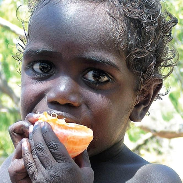 Social Determinants of Indigenous Health cover image