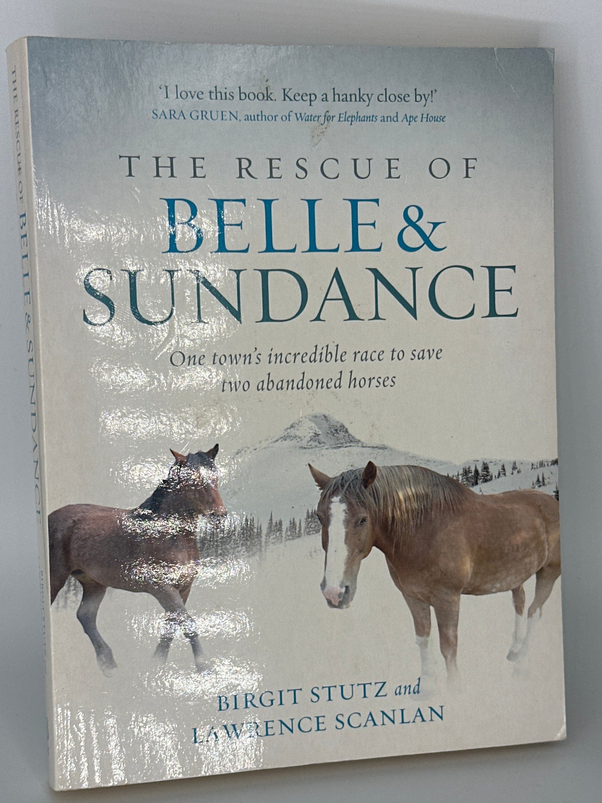 Birgit Stutz The Rescue of Belle & Sundance cover image