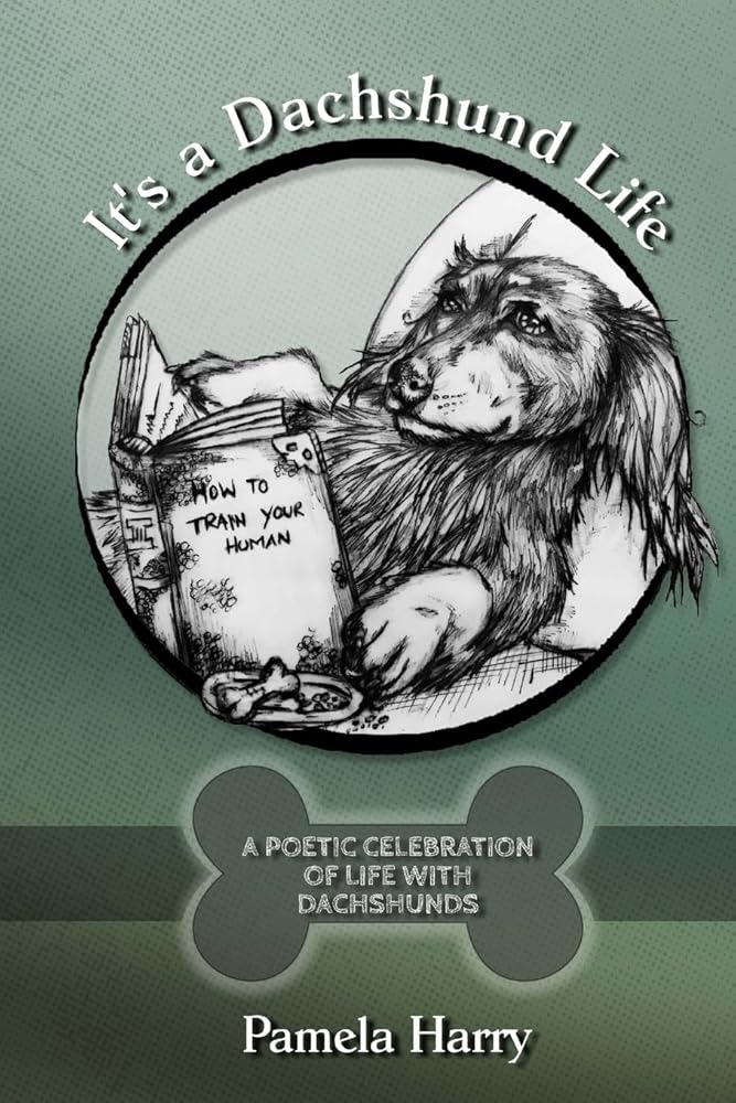 It's a Dachshund Life cover image