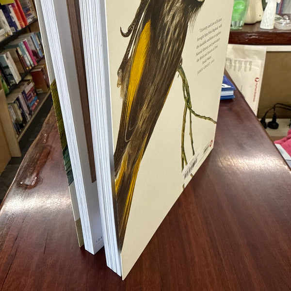 Mr JW Lewin: Painter & Naturalist