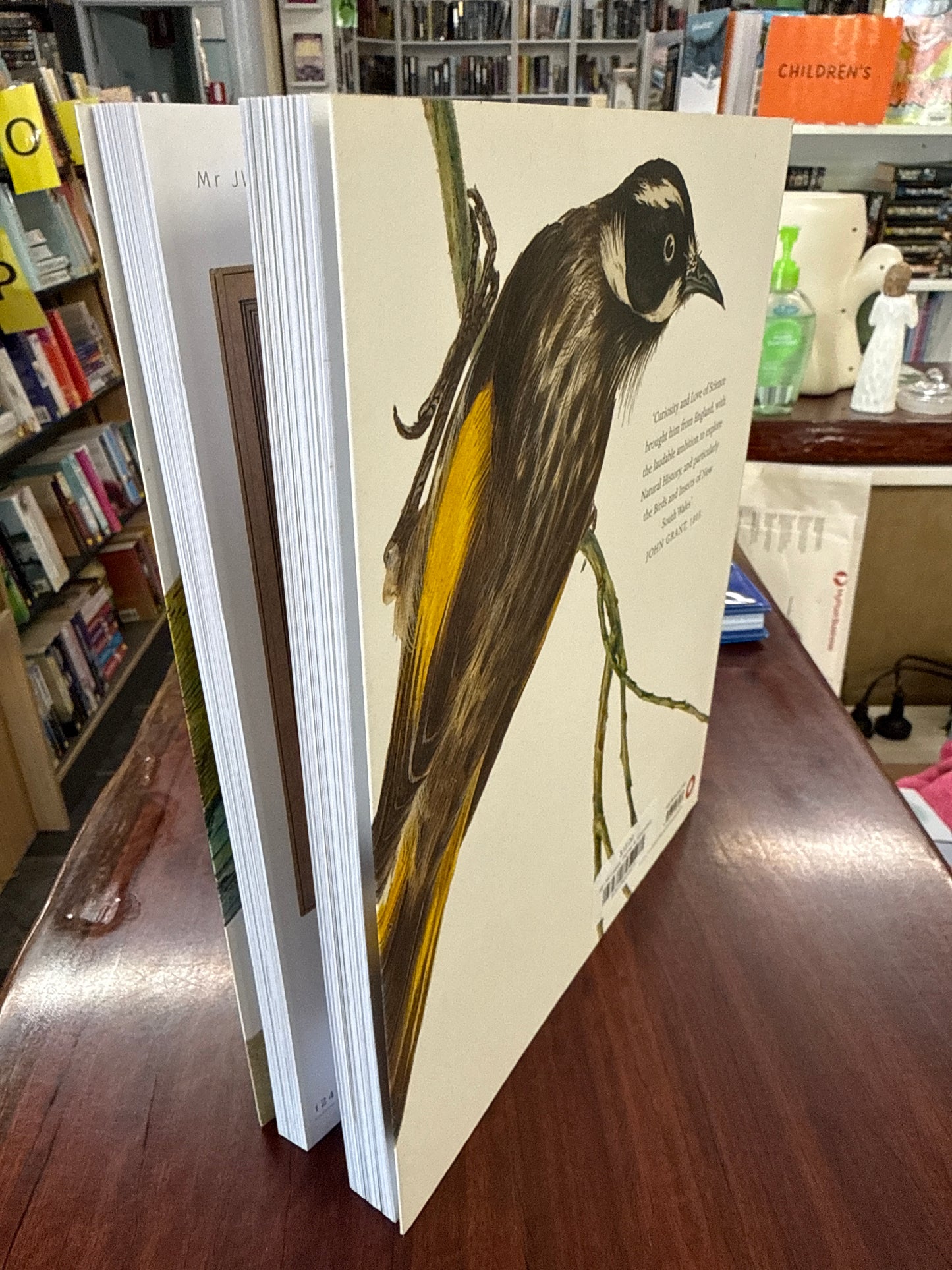 Mr JW Lewin: Painter & Naturalist