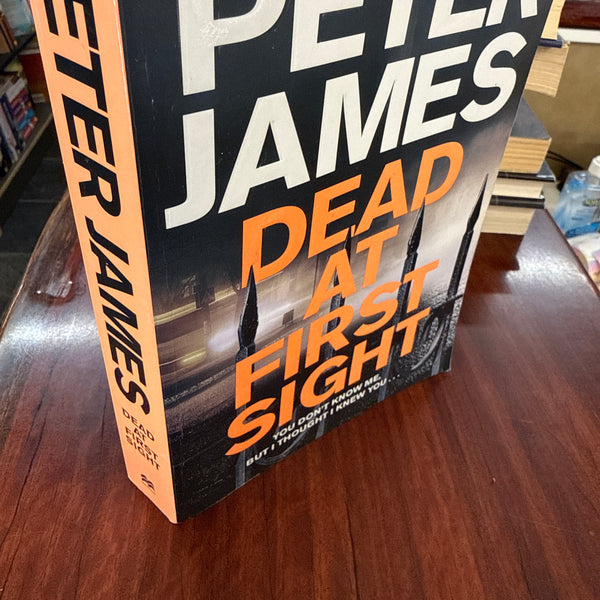 Dead at First Sight (Roy Grace #15)