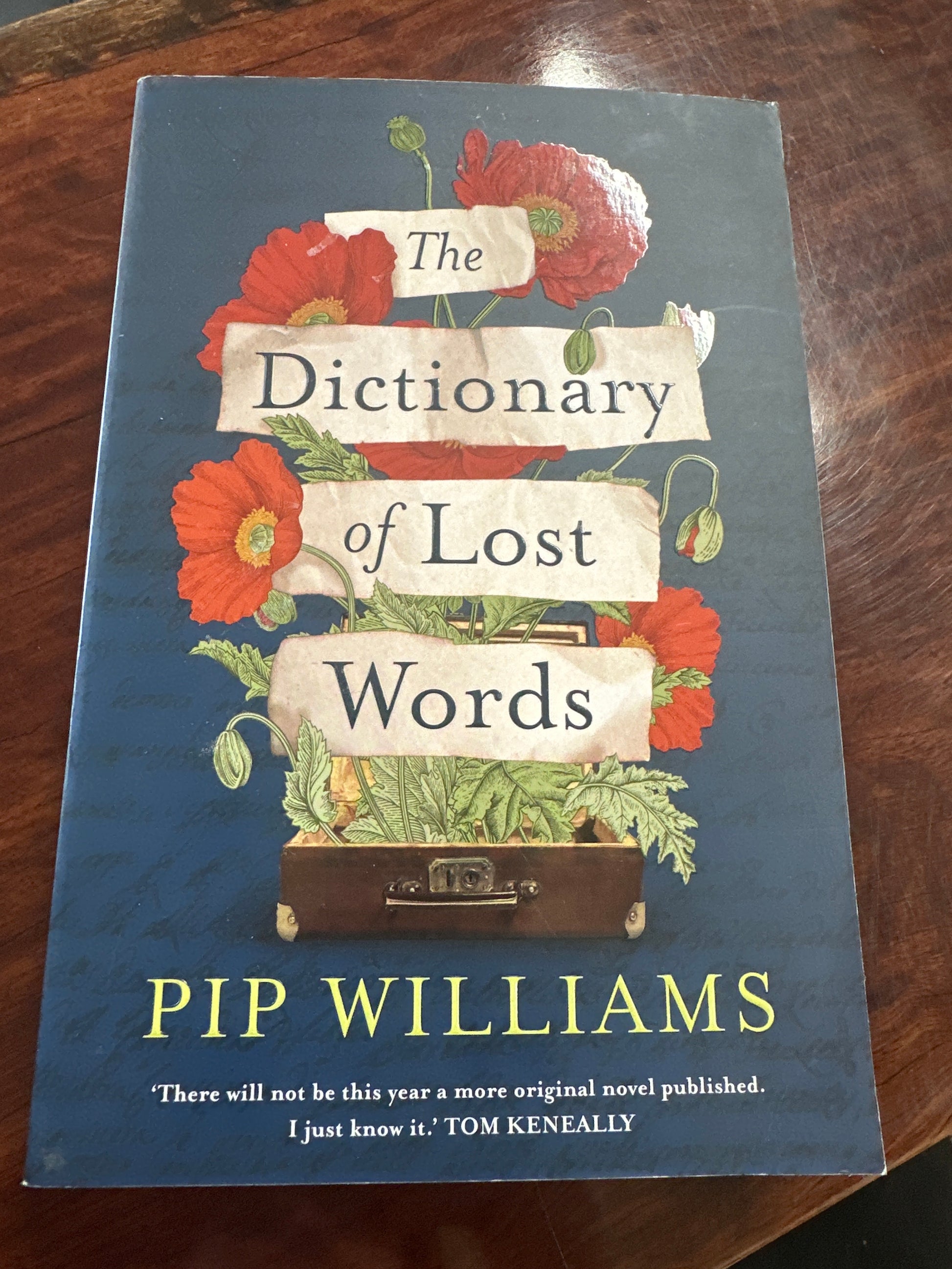 The Dictionary of Lost Words
