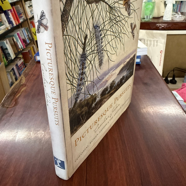 Picturesque Pursuits: Colonial Women Artists & the Amateur Tradition (Hardcover)