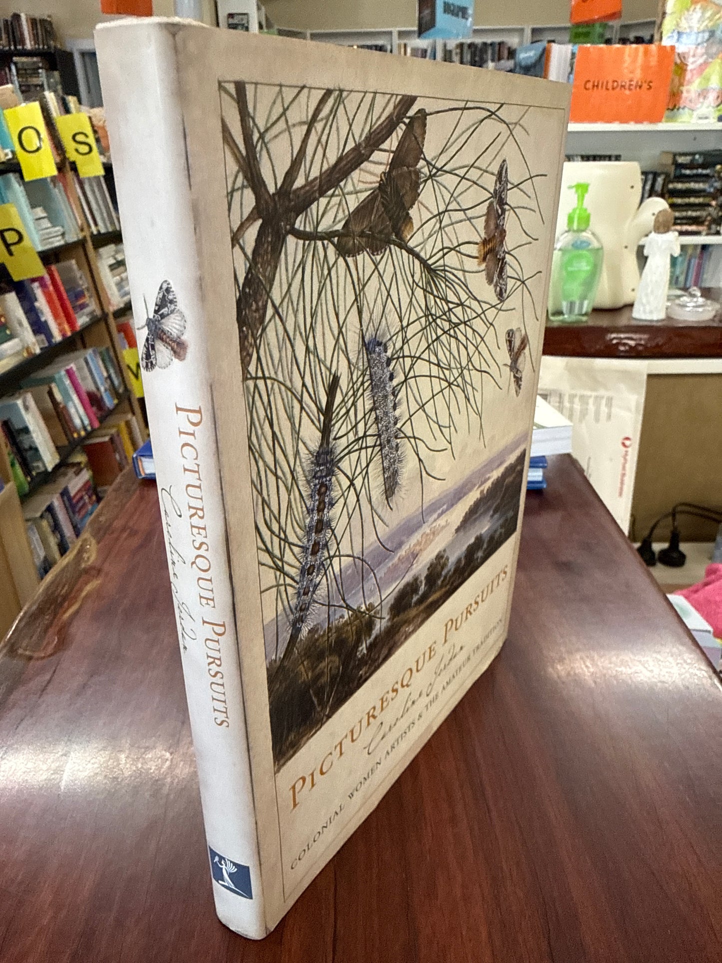 Picturesque Pursuits: Colonial Women Artists & the Amateur Tradition (Hardcover)