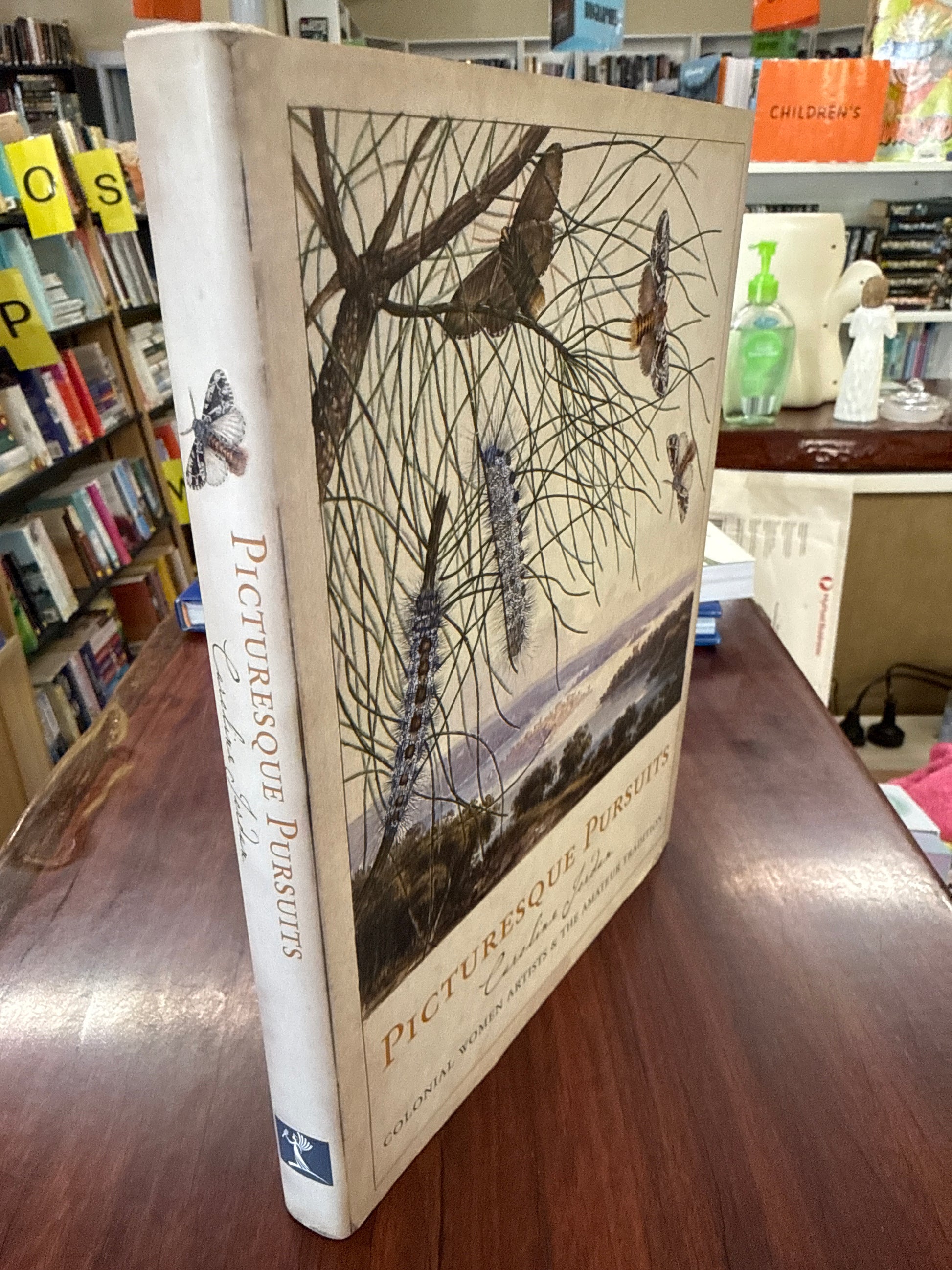 Picturesque Pursuits: Colonial Women Artists & the Amateur Tradition (Hardcover)