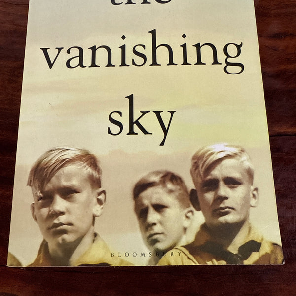 The Vanishing Sky