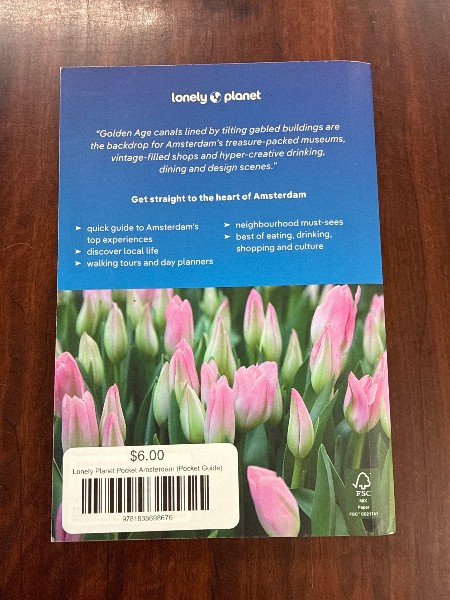 Lonely Planet Pocket Amsterdam (Pocket Guide)