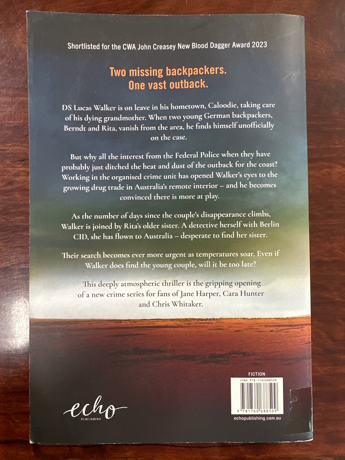 Outback (DS Walker #1)