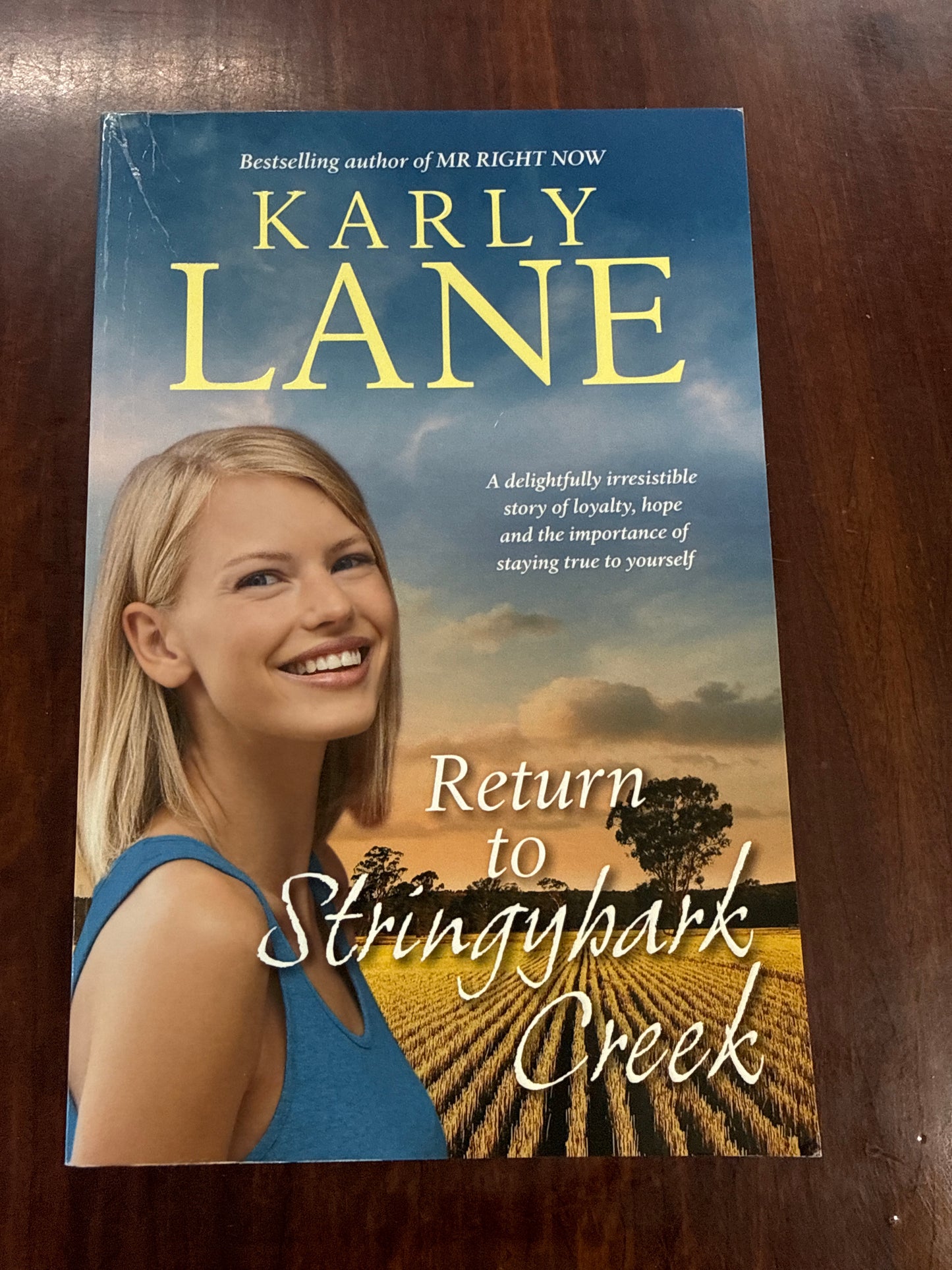 Return to Stringybark Creek