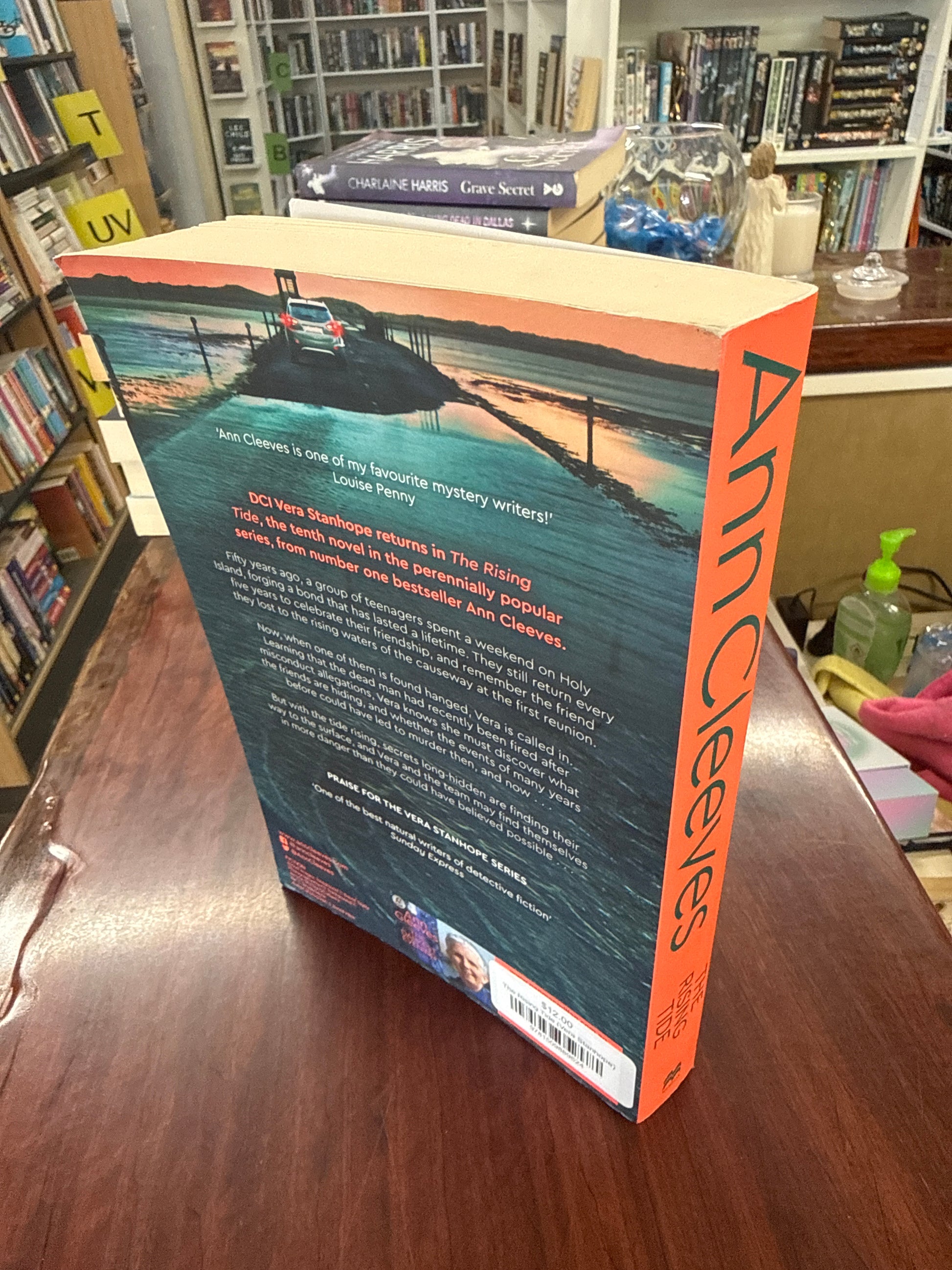 The Rising Tide (Vera Stanhope)