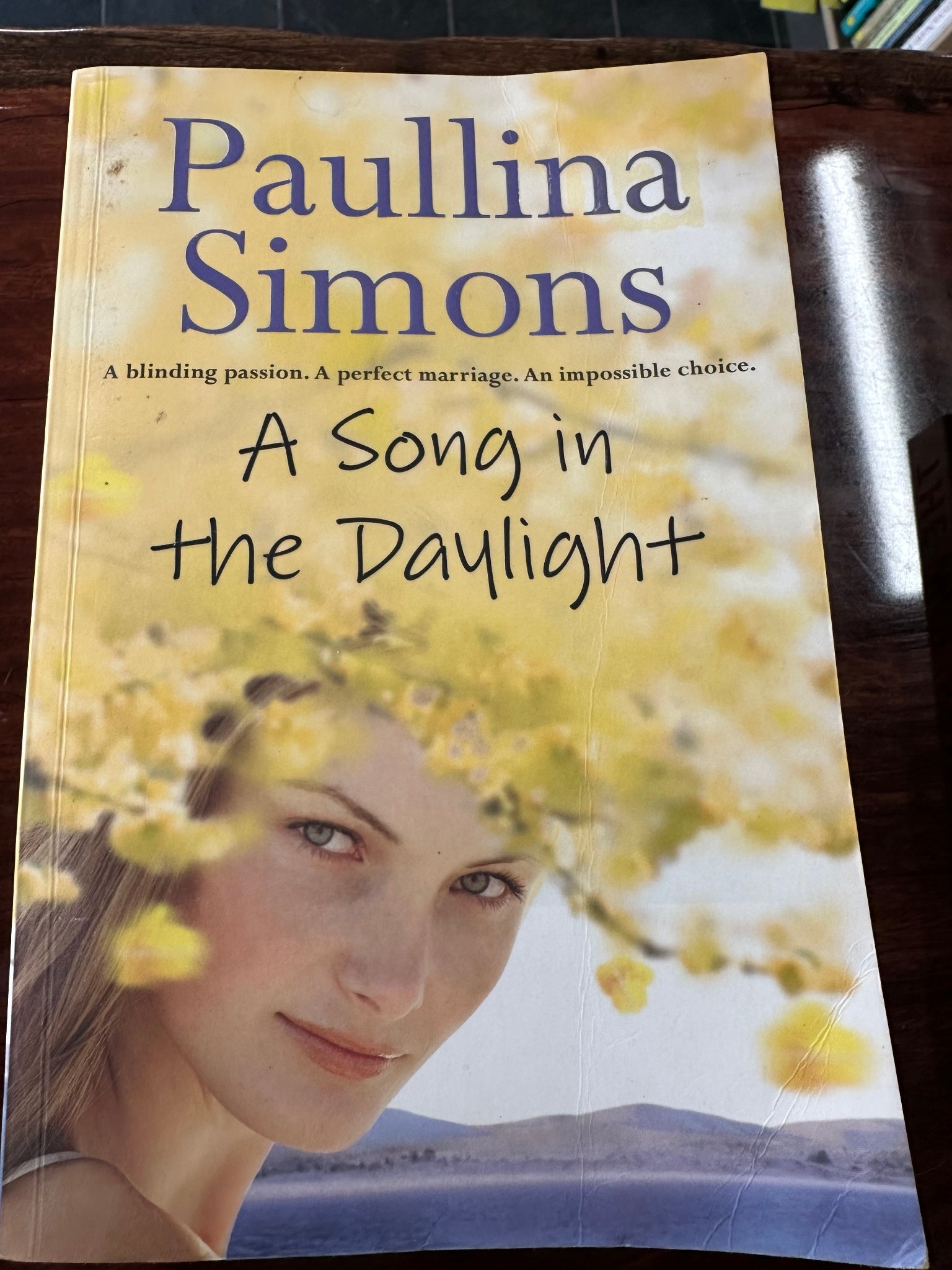 Paullina Simons A Song in the Daylight cover
