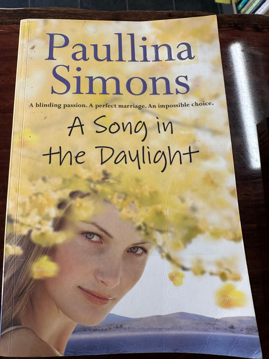 Paullina Simons A Song in the Daylight cover
