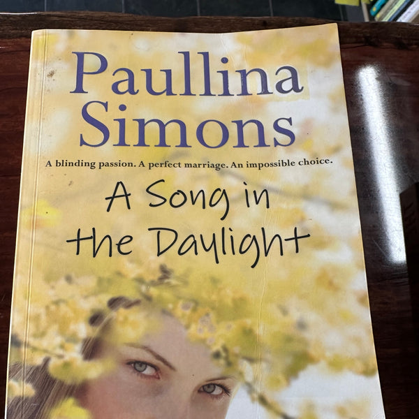 Paullina Simons A Song in the Daylight cover