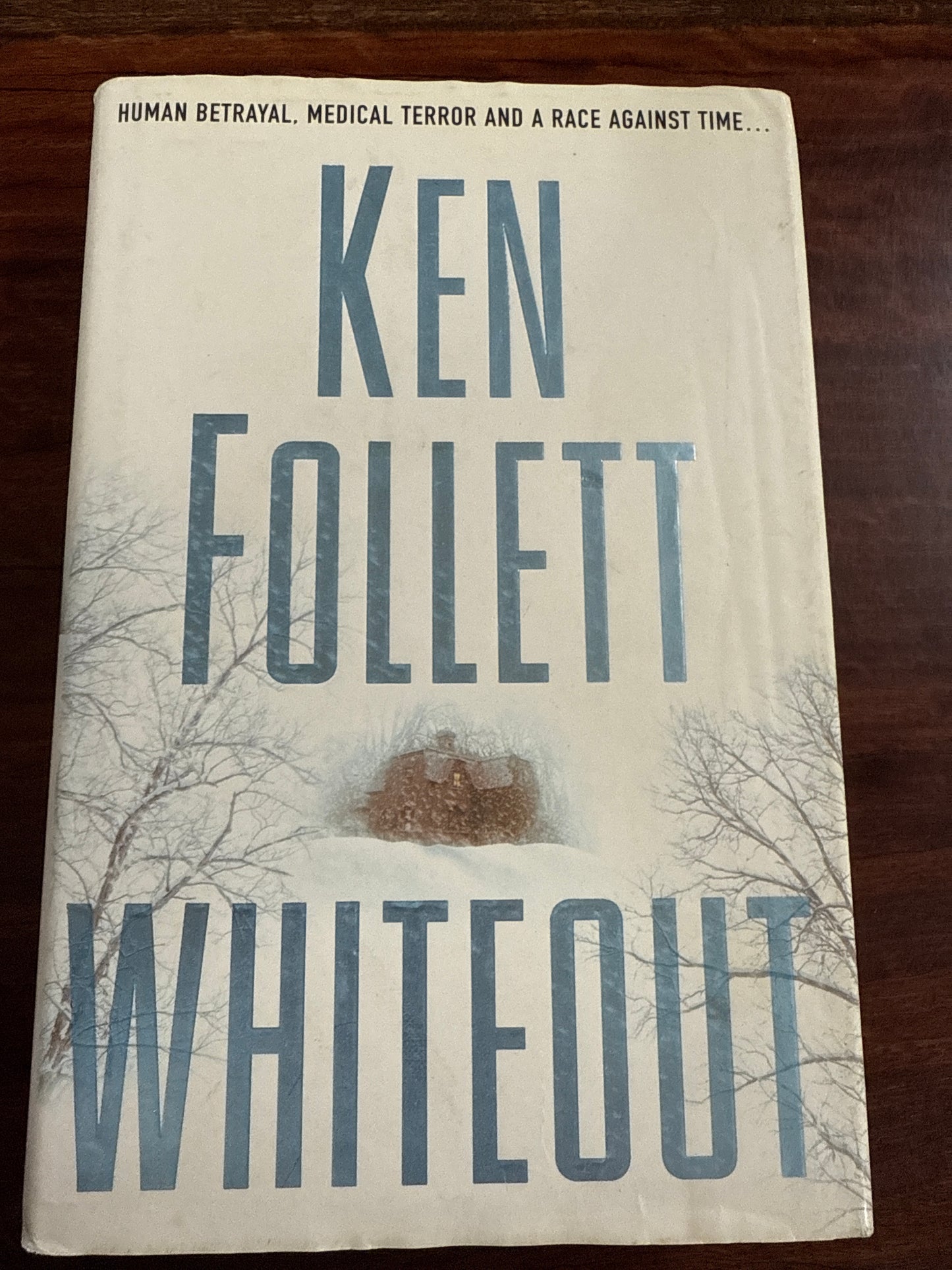Whiteout (Hardcover)