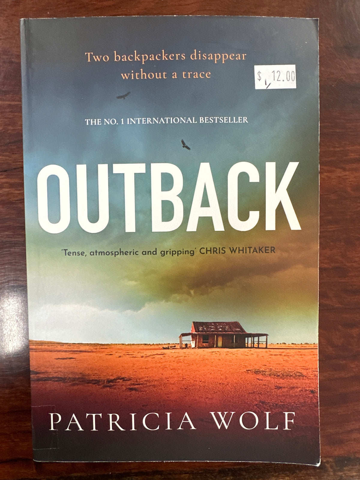 Outback (DS Walker #1)