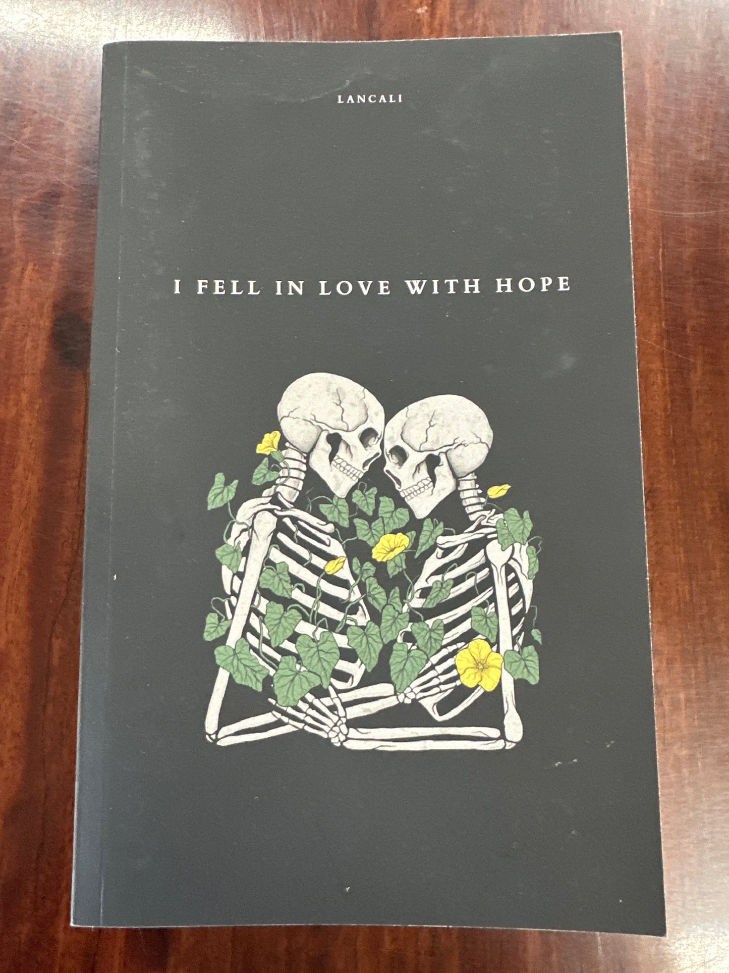 I Fell in Love With Hope