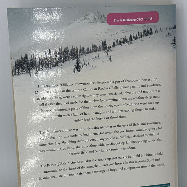 Birgit Stutz The Rescue of Belle & Sundance back cover used books