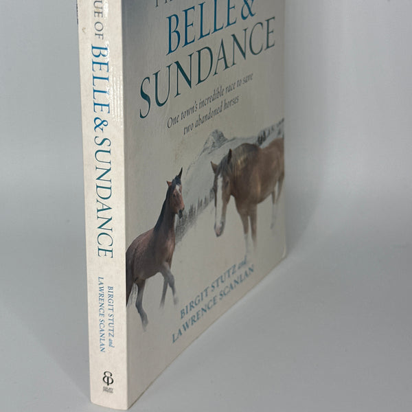 Birgit Stutz The Rescue of Belle & Sundance spine used books