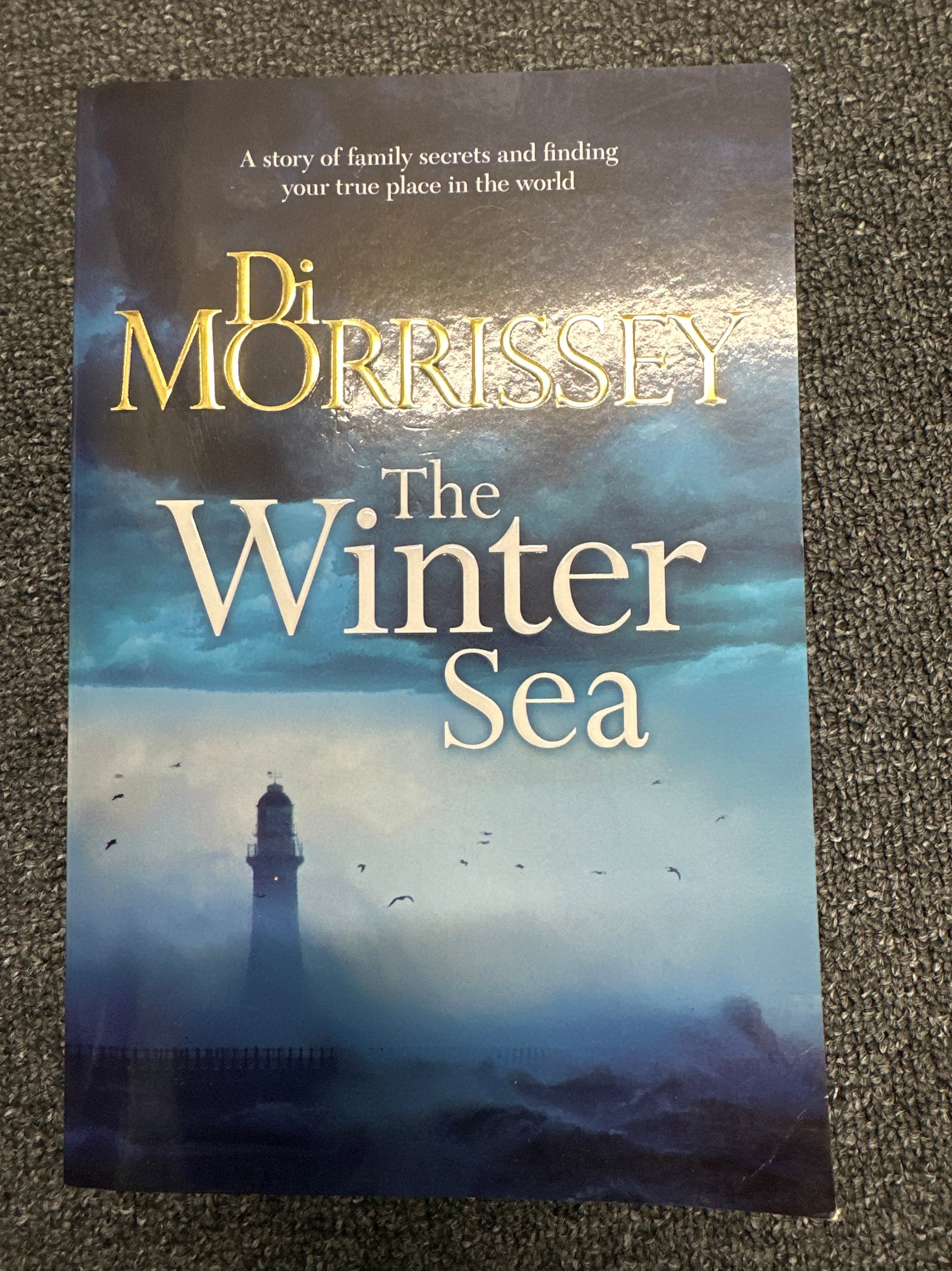 Book cover of 'The Winter Sea' by Di Morrissey