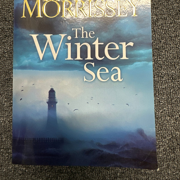 Book cover of 'The Winter Sea' by Di Morrissey