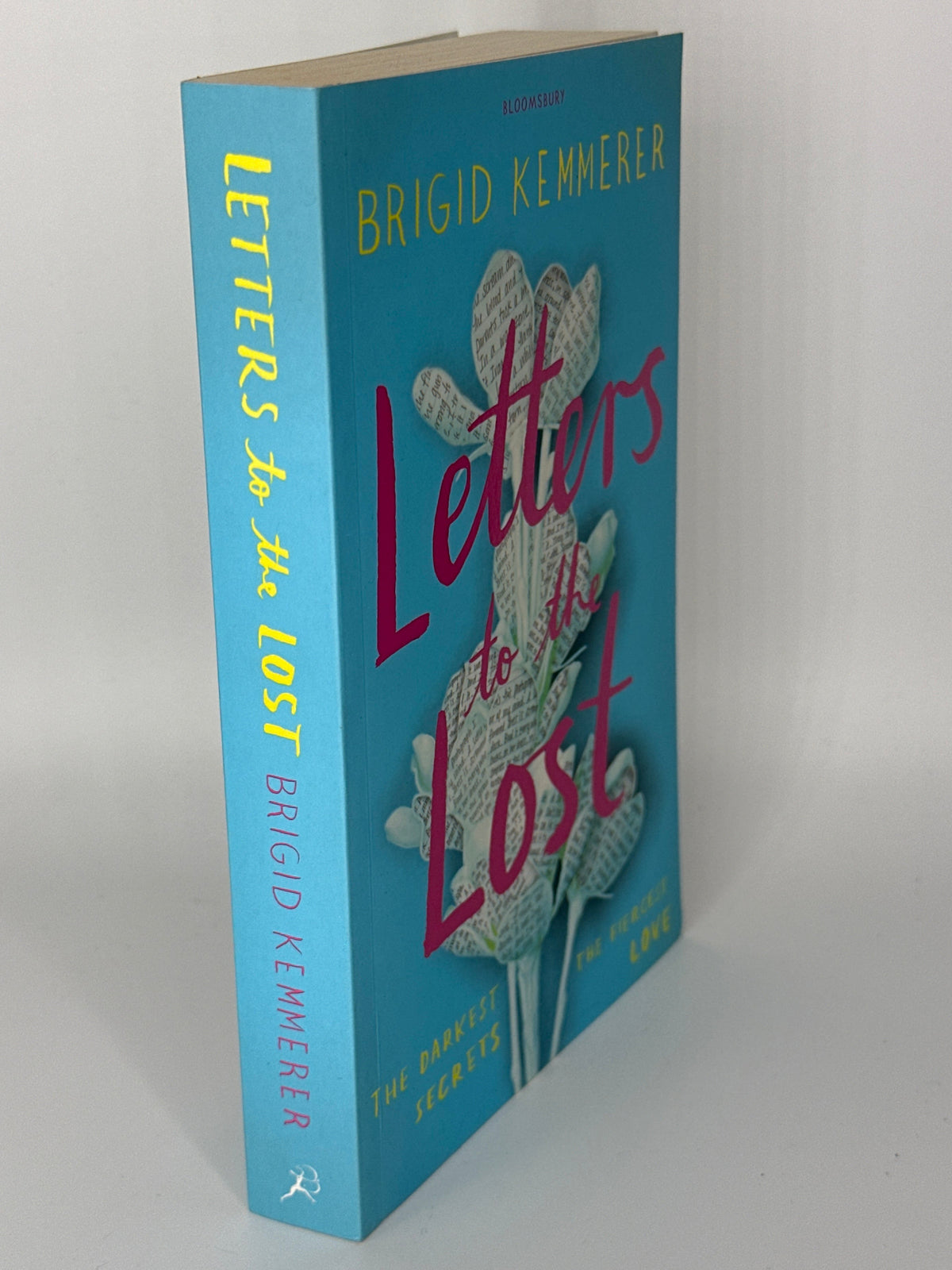 Brigid Kemmerer Letters to the Lost actual spine used books