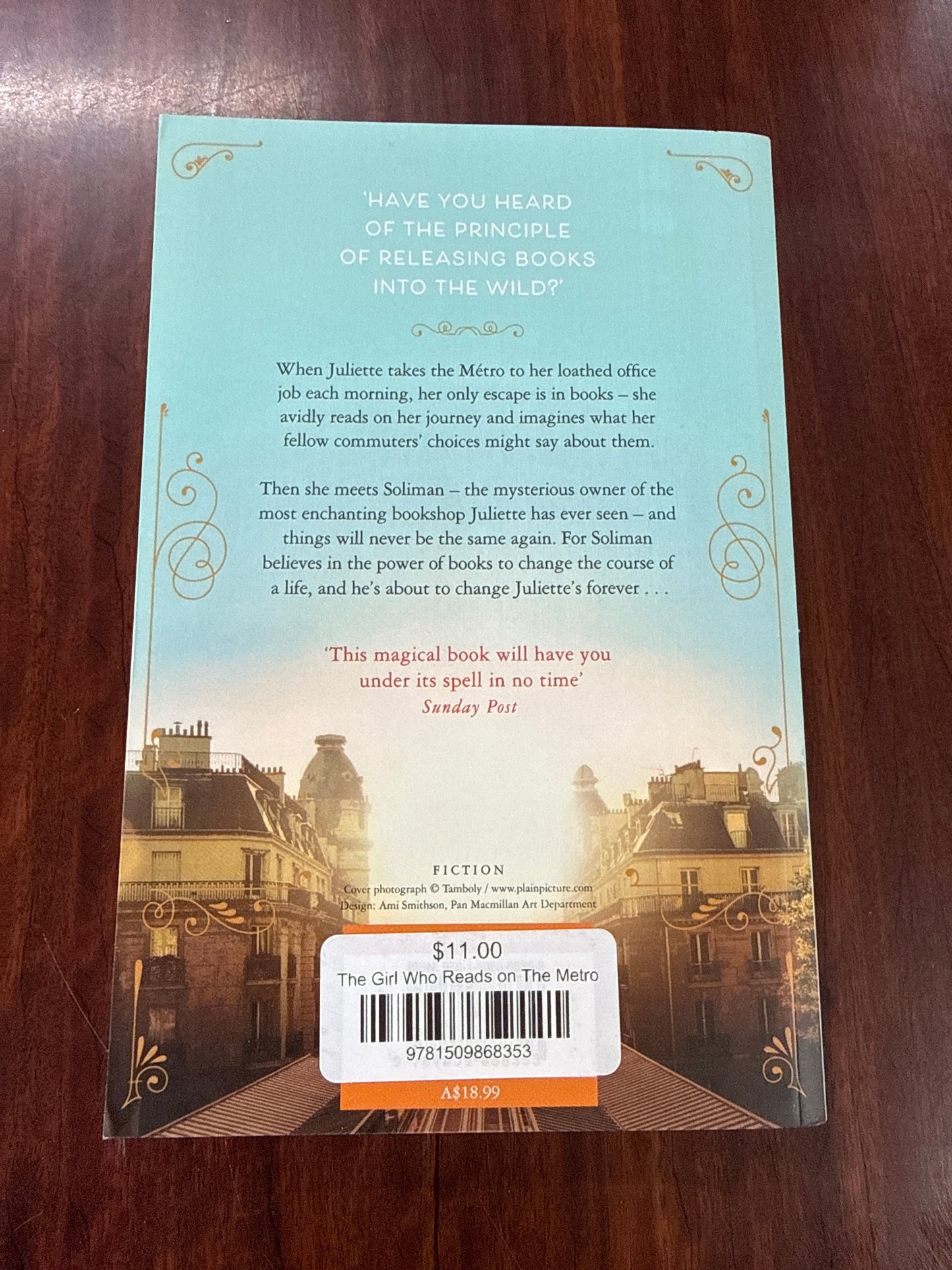 The Girl Who Reads on The Metro