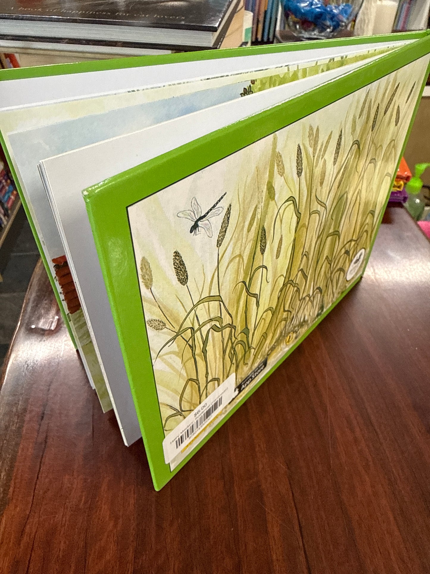 Hairy Maclary: Scattercat (Hardcover)